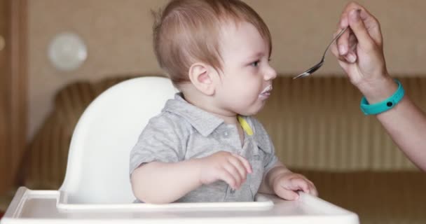 Baby isst Joghurt zu Hause — Stockvideo