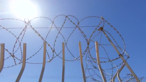 Fence with barbed wire — Stock Video