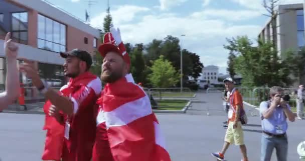 Fani piłki nożnej z Francji — Wideo stockowe