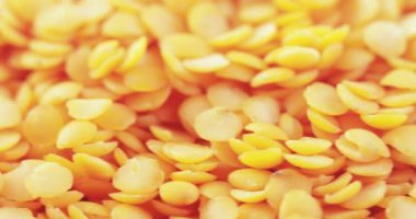 Lentil Farsça toplu