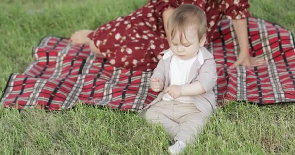 Moeder met een kind bij een picknick — Stockvideo