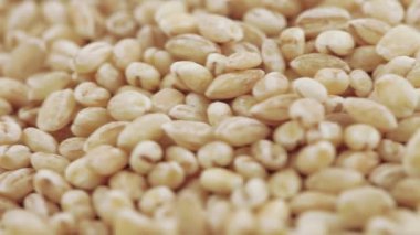 Pearl arpa zararlıları ile