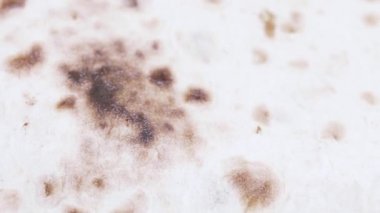 Toplu olarak Paskalya kurabiyeleri