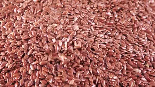 Semillas de lino a granel — Vídeos de Stock