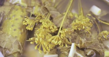 Dereotu ile salatalık turşu