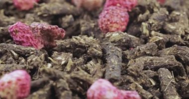 Ivan-çay çilek ile