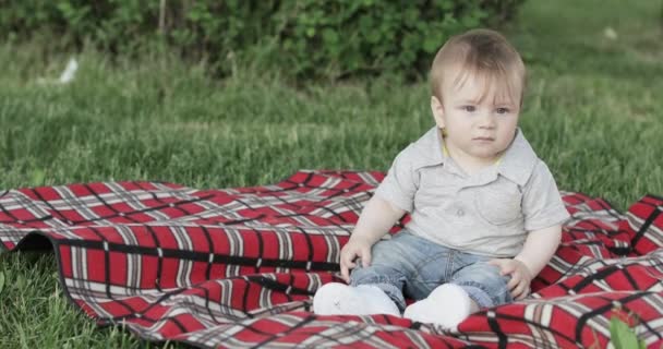 Baby boy on the blanket — Stock Video