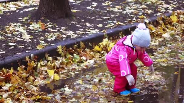 Дівчинка проходить крізь калюжі — стокове відео