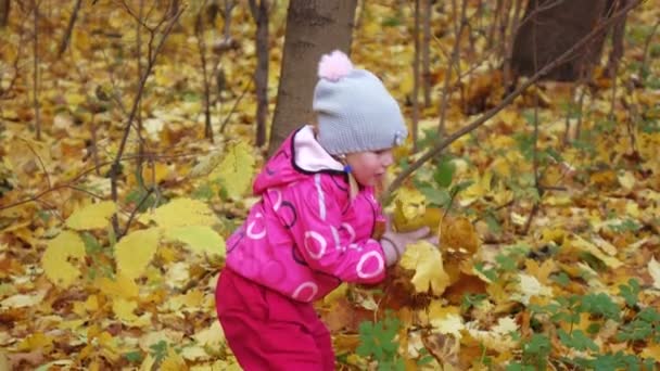 Baby girl with yellow leaves — Stock Video