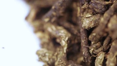 Ivan-tea mayalanmış.