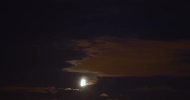 Maan aan de nachtelijke hemel — Stockvideo