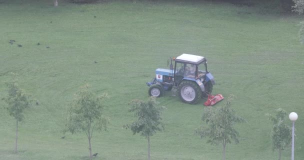 Ciągnik do koszenia trawnika — Wideo stockowe
