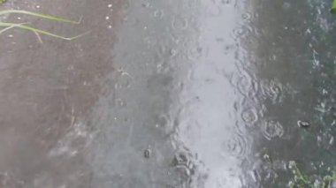 Kaldırımda şiddetli yağmur