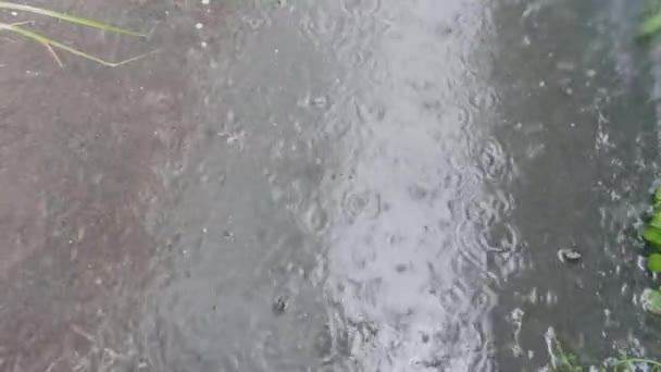 Проливной дождь на тротуар — стоковое видео