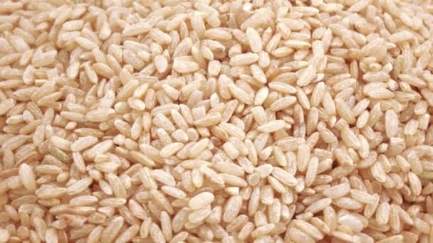 Hnědá rýže ve velkém — Stock video