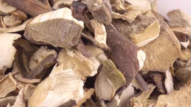 Сушеные белые грибы — стоковое видео