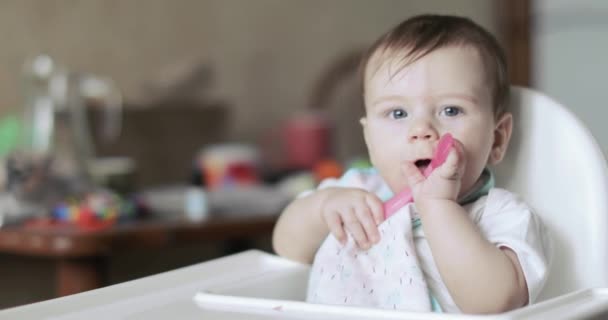 Baby boy eating currant puree — Stock Video