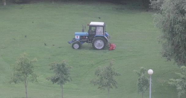 Græsplæne græsslåmaskine – Stock-video