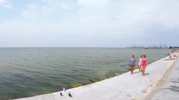 베르디안스크 의 도시 해변 — 비디오