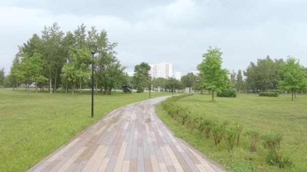 Yağmurdan sonra parkta bir sokak. — Stok video