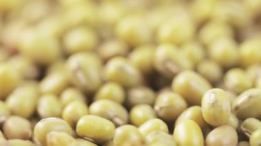 Tabakta Asya fasulyesi