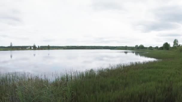 Orilla de un pequeño lago forestal — Vídeo de stock