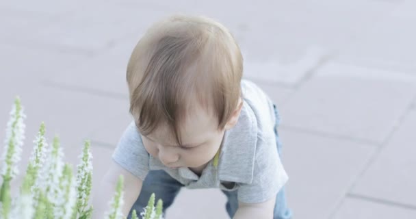 Bir çocuk bir çiçek yatağı yakın — Stok video