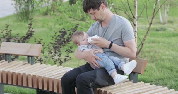 Papa voedt de baby — Stockvideo