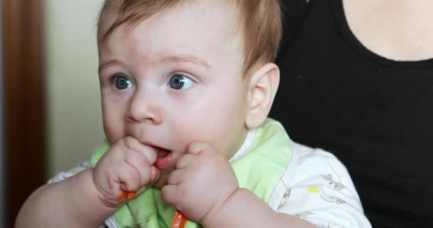 Baby boy eating a carrot — Stock Video