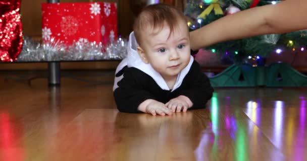 Bebis pojke på julgran — Stockvideo