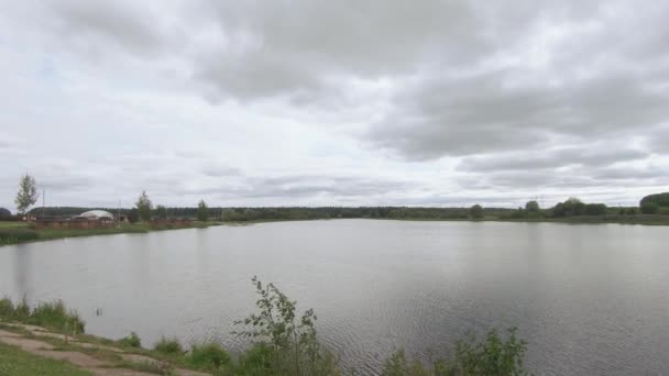 Oever van het meer van een klein bos — Stockvideo