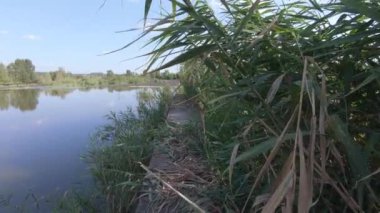 Göl teknik atıkları