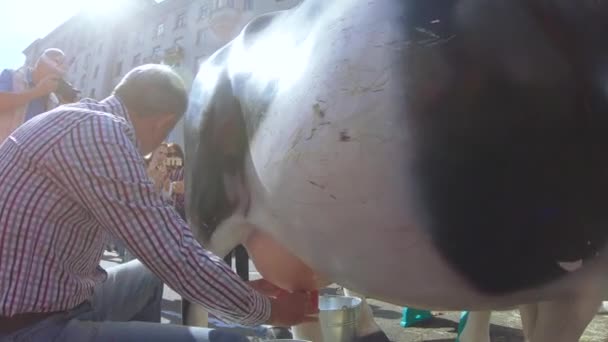 Modell einer Kuh mit der Möglichkeit, künstliche Milch zu melken — Stockvideo