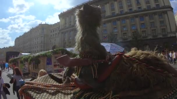 Figura de crecimiento de un camello — Vídeo de stock