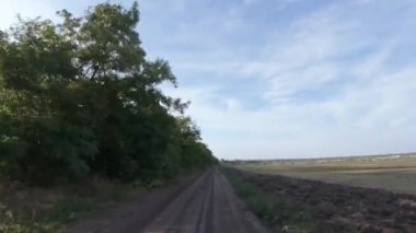 Toprak yol ve ağaçlandırma