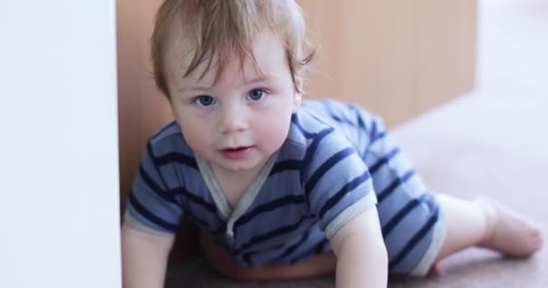Baby krabbelt auf dem Boden — Stockvideo