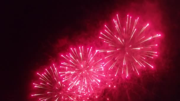 Saudação festiva no céu — Vídeo de Stock