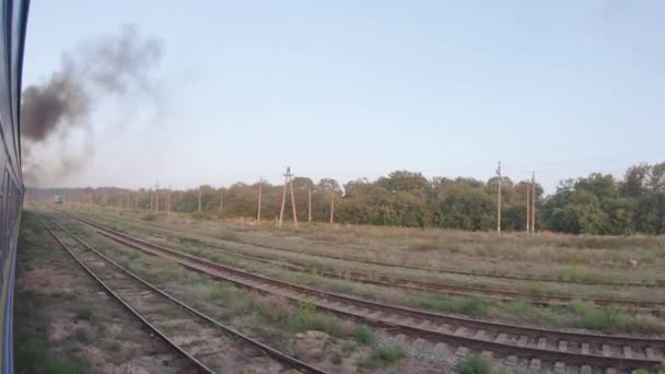 Draai van de trein op de natuur — Stockvideo