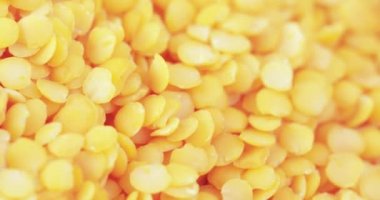 Lentil Farsça toplu