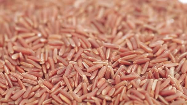 Czerwony ryż jądra luzem — Wideo stockowe