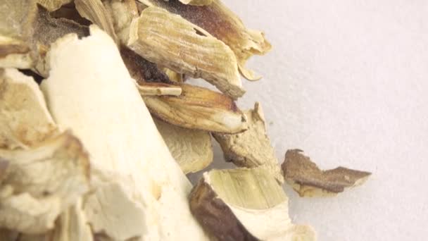 Getrocknete weiße Pilze — Stockvideo