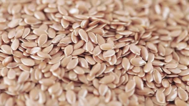 Семена льна оптом — стоковое видео