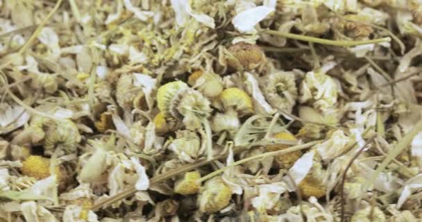 Chamomile drug bulk — Stock Video