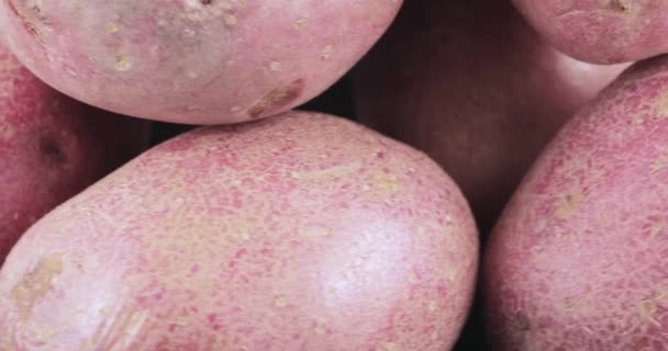 Картофель красный навалом на столе — стоковое видео