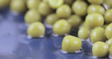 Toplu olarak yeşil bezelye