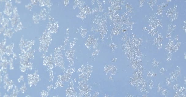 Snöflingor på glas — Stockvideo