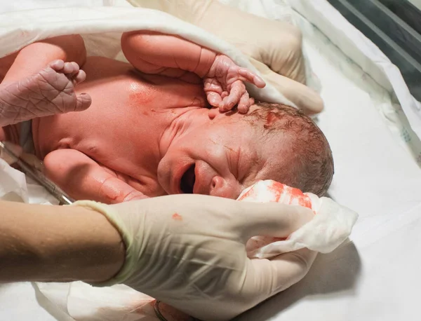 Grida del bambino neonato su clinica Foto Stock Royalty Free