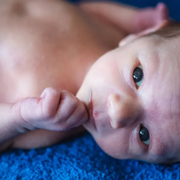 Lying on the bed sheet baby at home