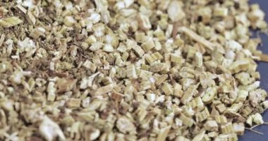 Tripartita toplu olarak bidens