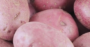 Patates kırmızı toplu tablo